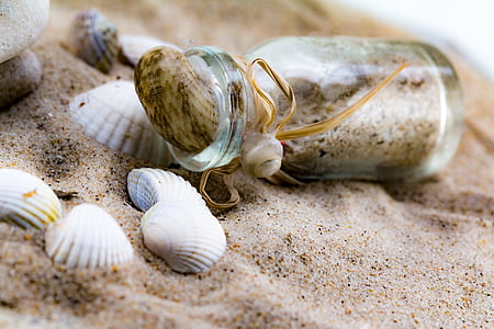 μήνυμα σε ένα μπουκάλι, μύδια, μπουκάλι, Άμμος, παραλία, γυάλινη φιάλη, Ενοικιαζόμενα