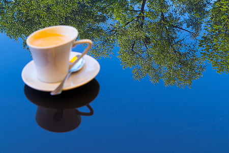 cafè, dia, reflectint, mirall, bosc, blau, cel