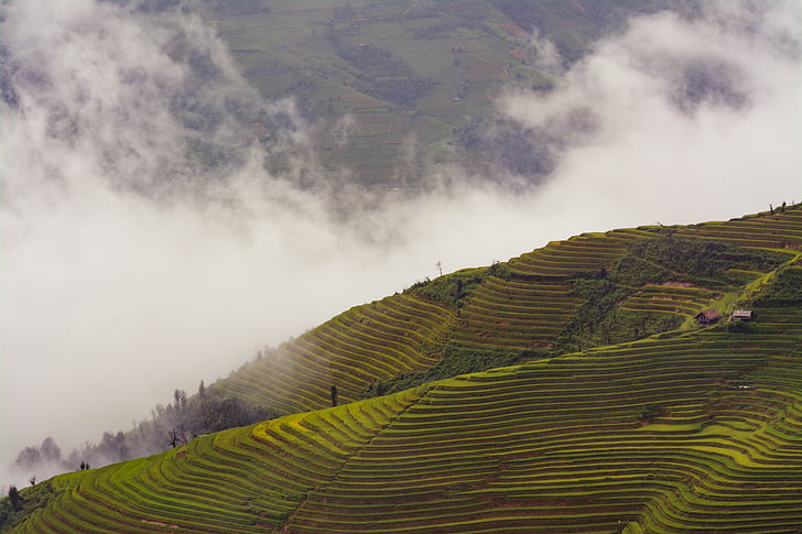 aerial, photo, fuggy, rice, terrace, cloud, valley