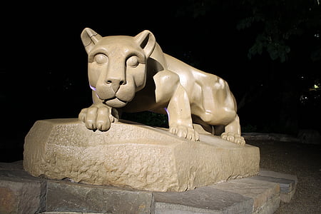 PSU, Lev, Mountain lion, State college, Penn štát, Svätyňa, noc