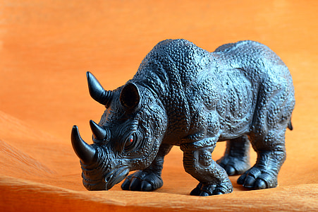 vilda djur, Rhino, leksak, barn