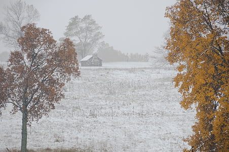 农场, 冬天, 谷伪造, 国家公园, 宾夕法尼亚州, 小木屋, 赛季