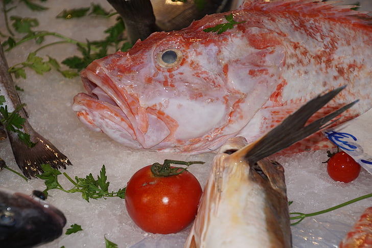 Rybí trh, Palermo, Sicília, pouličný trh, chutné, ryby, trhu
