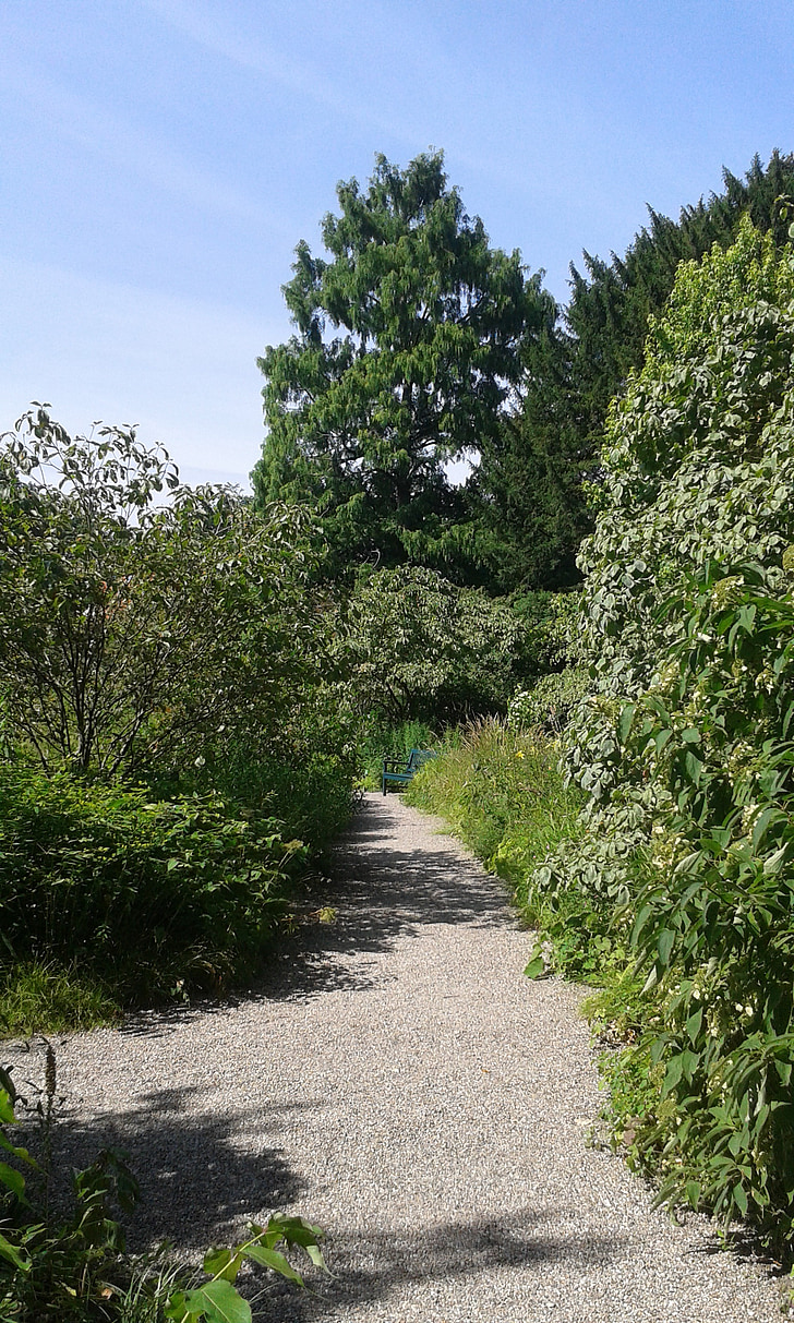 Hesse, Weinheim, Park, el, nyári, természet, fa