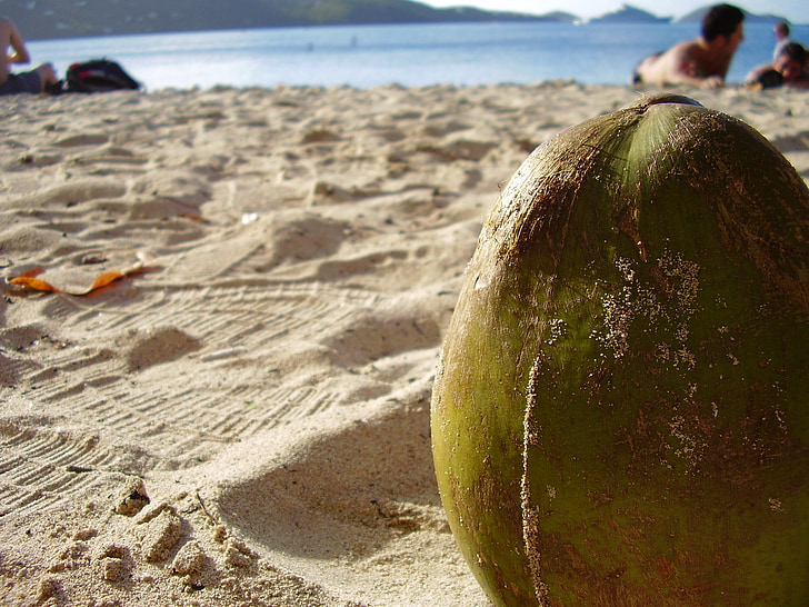 noce di cocco, Close-up, sabbia, spiaggia, estate, Spiaggia di sabbia, bellissima spiaggia
