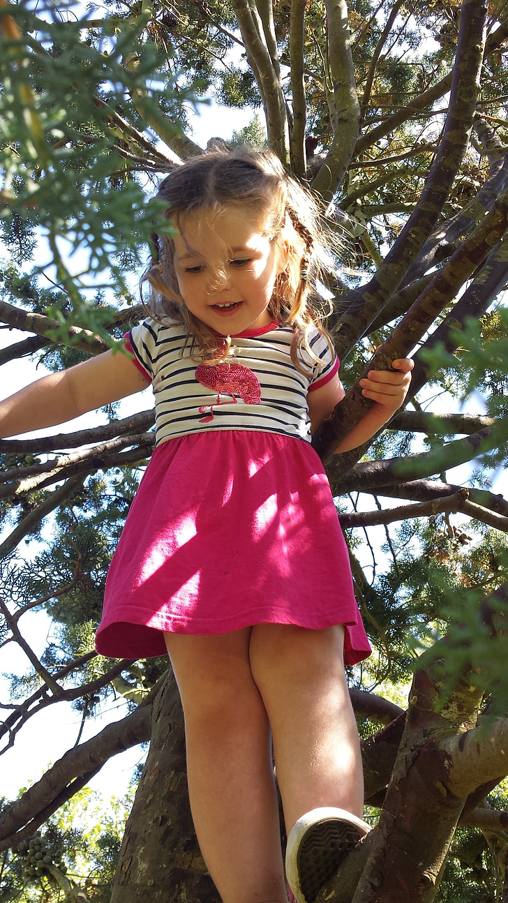jeune fille, arbre, d’escalade, été, jeune, petit, fille heureuse