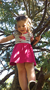 Flicka, träd, klättring, sommar, unga, lite, glad tjej