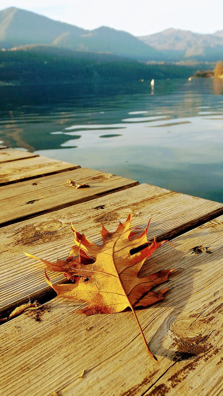 jezero, jeseni, narave, krajine, listov, hrib, miren