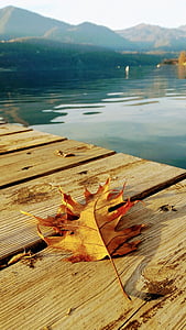 Lac, automne, nature, paysage, feuille, colline, calme