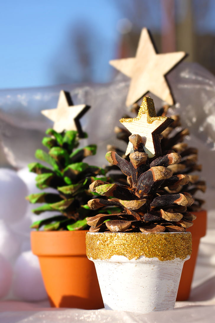 christmas tree, pine cones, star, pot, clay pot, tannenzweig, advent