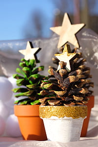 árbol de Navidad, conos de pino, estrella, bote, olla de barro, tannenzweig, llegada