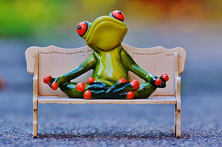 frog, bench, relaxation, rest, funny, cute, figure