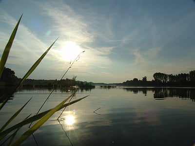 amanhecer, Ilha, Rio Drava, natureza, pesca