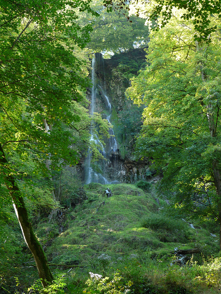 cascada, l'aigua, cascada d'Urach, bosc, verd, arbres, idil·li