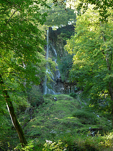 waterfall, water, urach waterfall, forest, green, trees, idyll