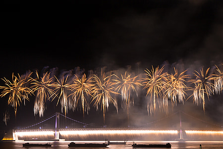 flame, festival, night view, the night sky, sea, bridge, fireworks festival