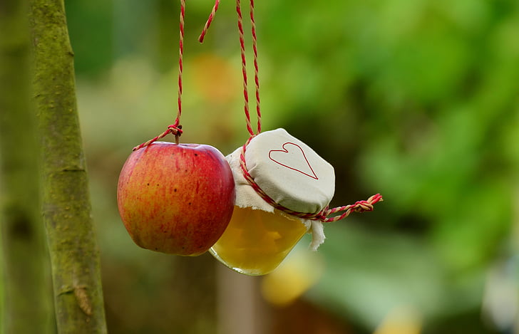 Jabłoń, Jabłko, Kompot z jabłek, Słoik, ogród, owoce, Kernobstgewaechs