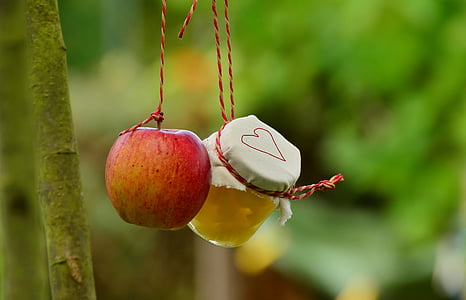 jabloň, Apple, jablkového kompótu, jar, Záhrada, ovocie, kernobstgewaechs
