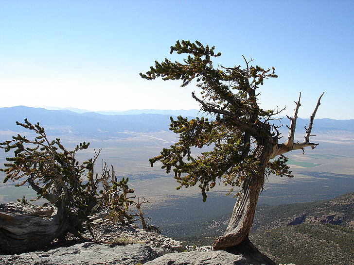 Parco nazionale Great basin, Nevada, cielo, nuvole, montagne, Valle, burrone