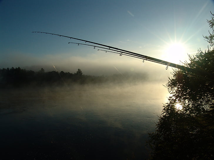 pesca, amanecer, Isla, Drava, naturaleza