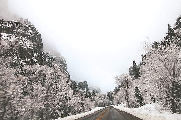 road, snow, tie, winter, ice, frozen, zing