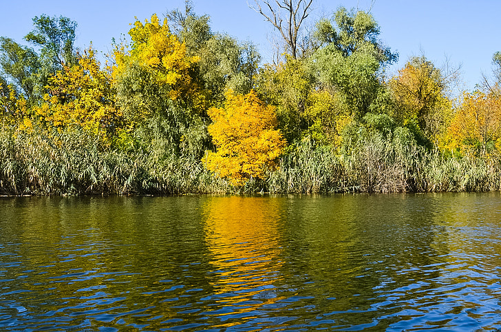 hösten, Dnepr, naturen, floden