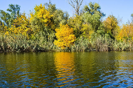hösten, Dnepr, naturen, floden