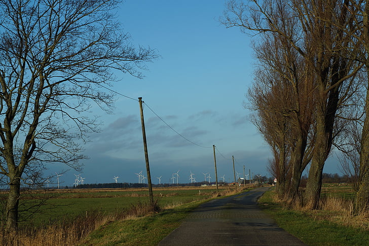 winpark, away, trees, lonely