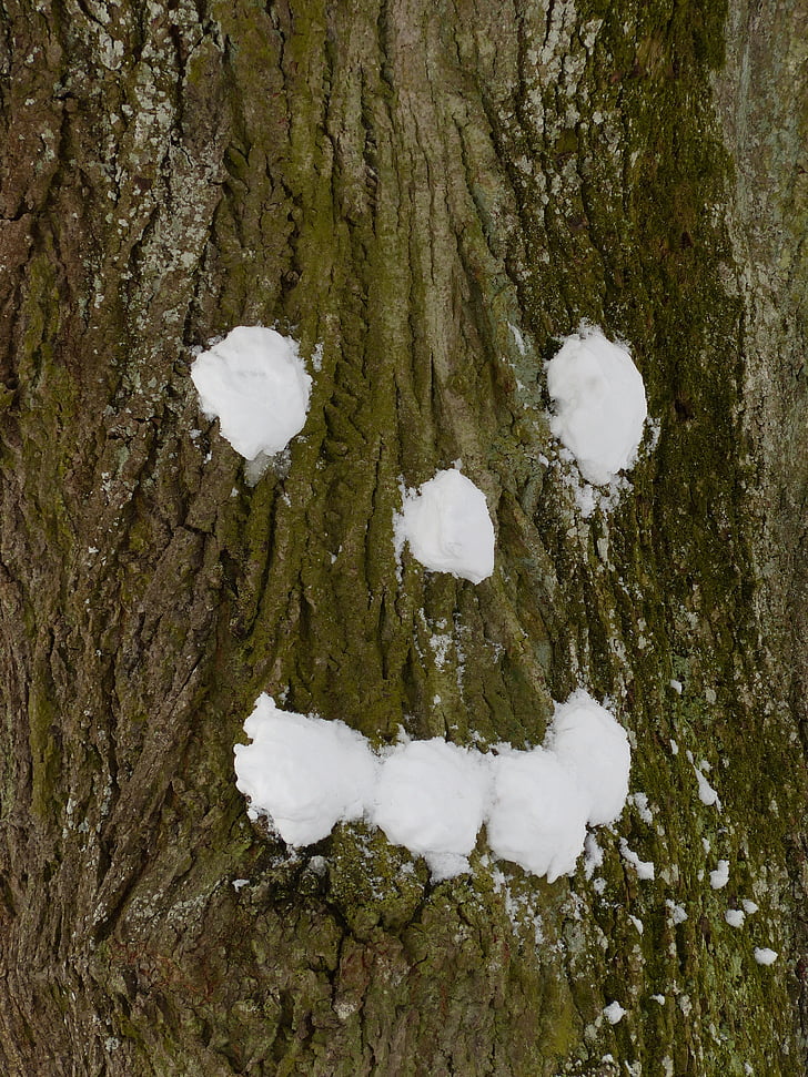 tree, snow, forest spirit, tree face, face, snow ball, bark