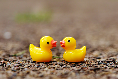 ducks, figures, two, pair, cute, sweet, many