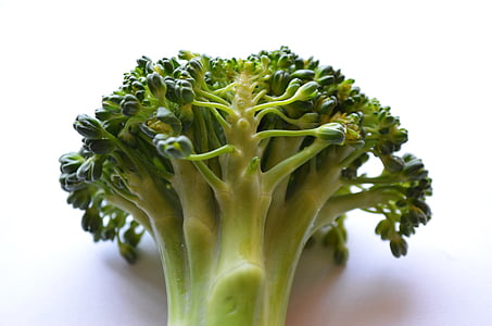brokkoli, zöldség, egészséges, élelmiszer, diéta, zöld, vegetáriánus