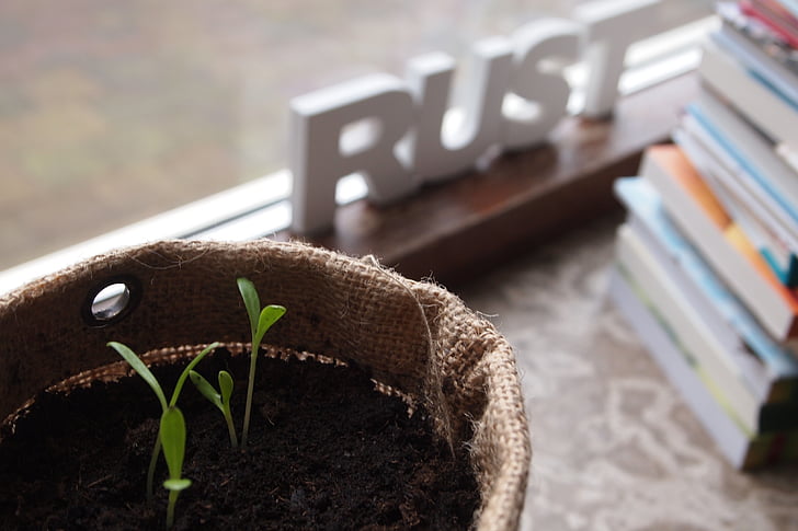window sill, plants, grow, jute, books, letters, potting soil