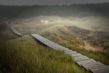 Amrum, klitterne, ø, Nordfrisland, sand dune, skyer, Boardwalk