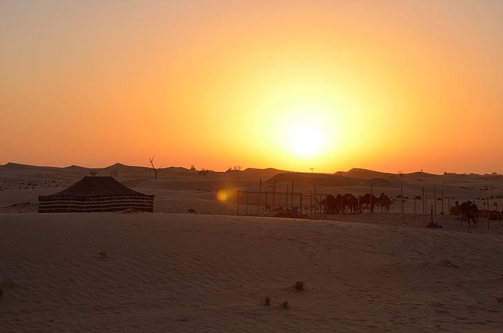západ slnka, Desert, Abú Zabí, ťavy