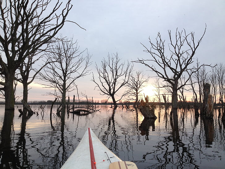 canoë-kayak, Lac, eau, paysage, pagayeur, canoéiste