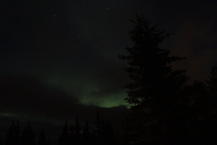 Aurora, Severní polární záře, Aljaška