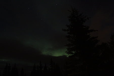 Аврора, Северное сияние, Аляска