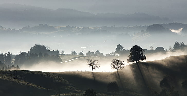 Hora, Highland, krajina, stromy, závod, Příroda, pohled
