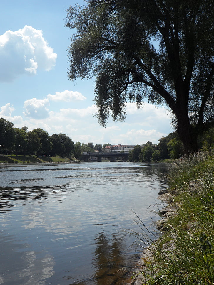 Dunojaus, idilė, idiliškas, Ulmas, upės, ramioje, atmosferos