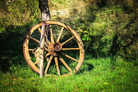 roue de wagon, roue, roue en bois, rayons, ferme, vieux, nostalgie
