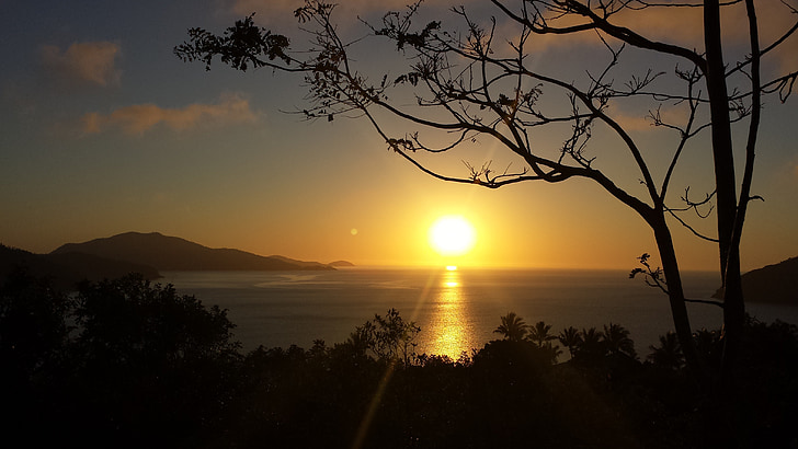Ocean, soluppgång, Australien, Whitsundays, träd, reflektion, solnedgång