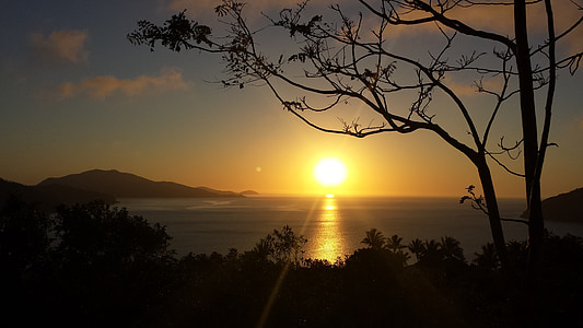 laut, matahari terbit, Australia, Whitsundays, pohon, refleksi, matahari terbenam