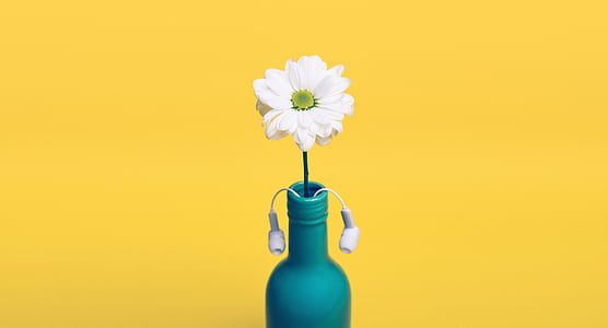yellow, daisy, bottle, vase, headphones, earbuds, decor
