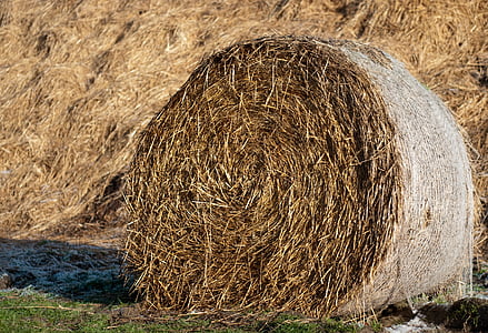 haystack, straw, agriculture, hay, harvest, bale, rural Scene