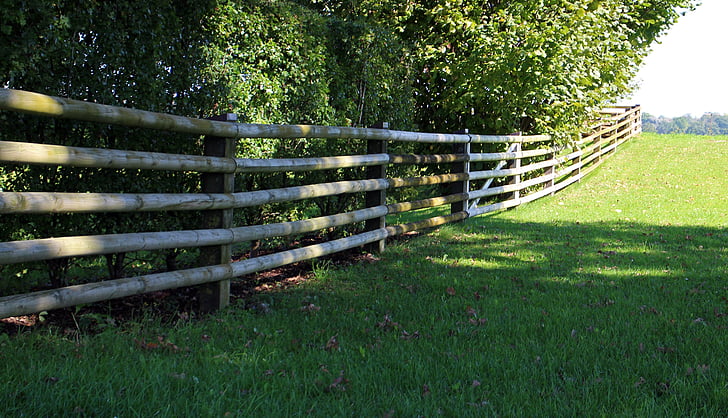 hàng rào gỗ, phân giới cắm mốc, gỗ, hàng rào, cốt truyện, biên giới, giới hạn