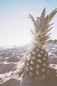 ananász, desszert, előétel, gyümölcs, gyümölcslé, termés, Beach