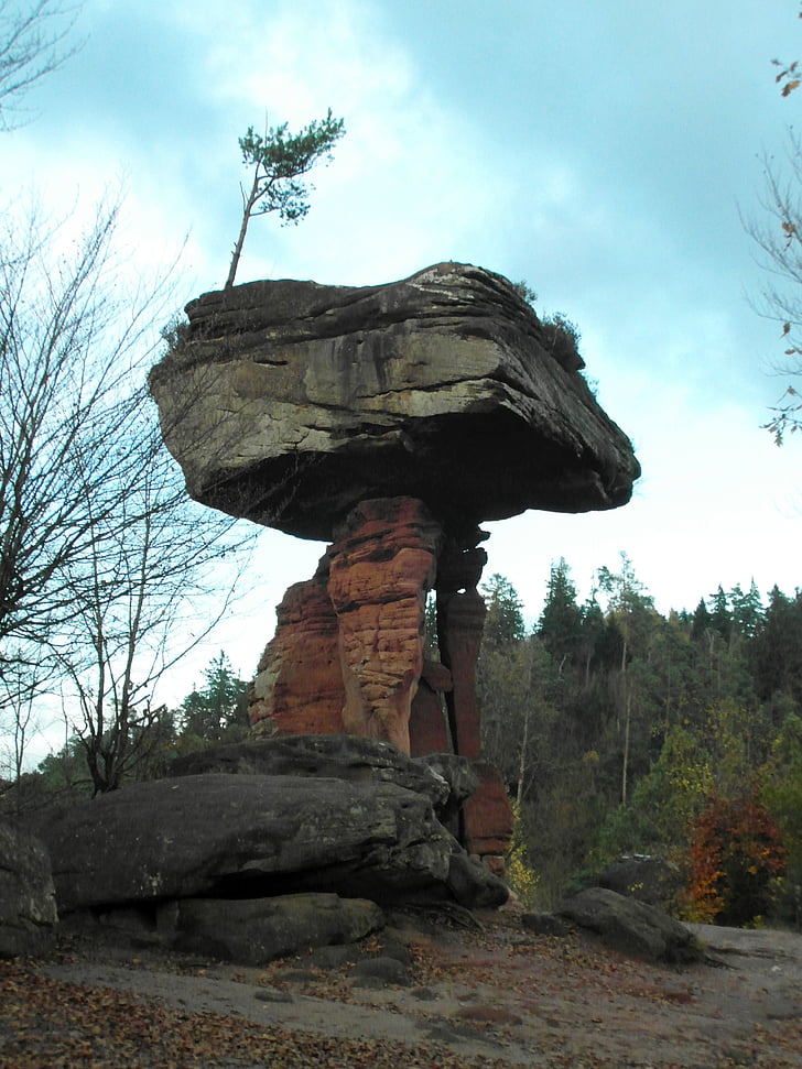 quỷ bàn, Pfalz, Cát đá, đá sa thạch, mùa thu, đi bộ đường dài, Rock