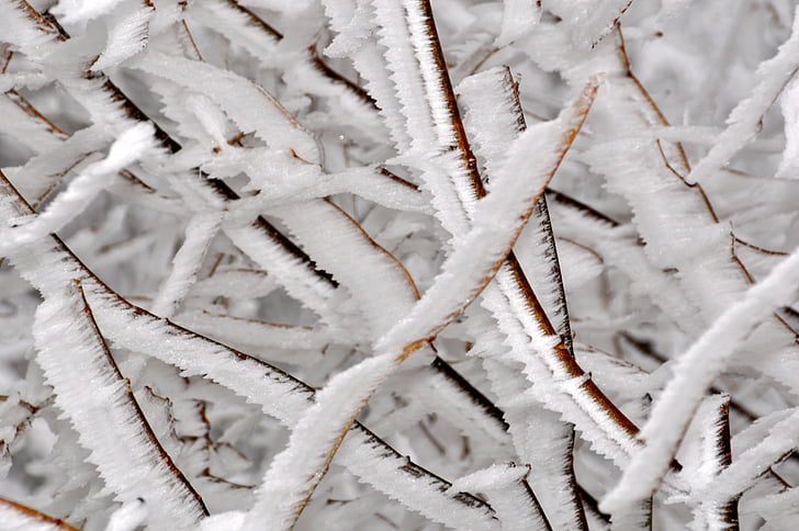 Frost, hladno, sneg, pozimi, LED, zamrznjeni, ledeni