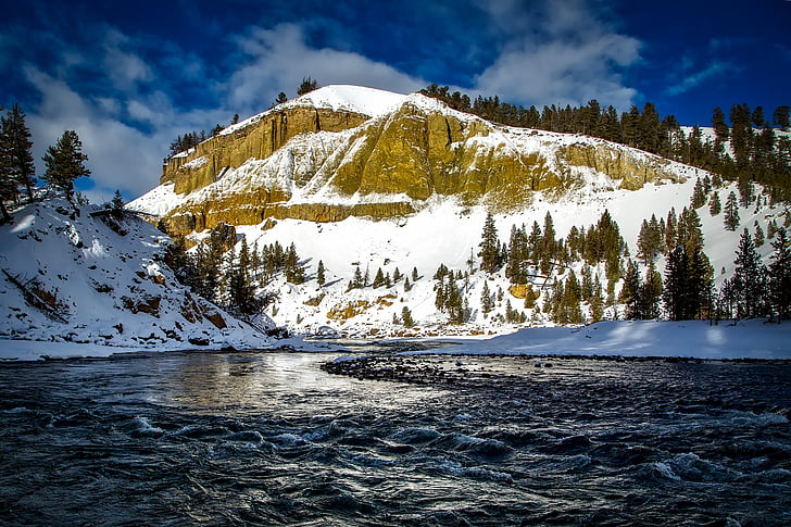 Yellowstone river, Wyoming, national park, landskab, naturskønne, skov, dalen