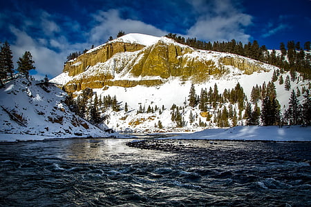 Yellowstone'i jõgi, Wyoming, rahvuspark, maastik, Scenic, metsa, Valley
